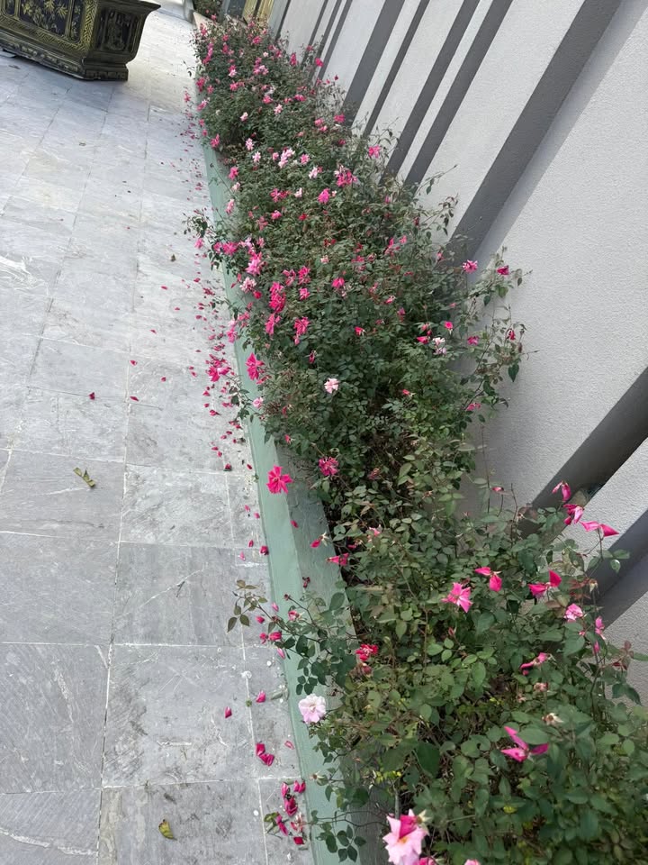 Đất nền Lưu Vĩnh Sơn 200m² giá 3.1 tỷ - Cơ hội đầu tư tuyệt vời!