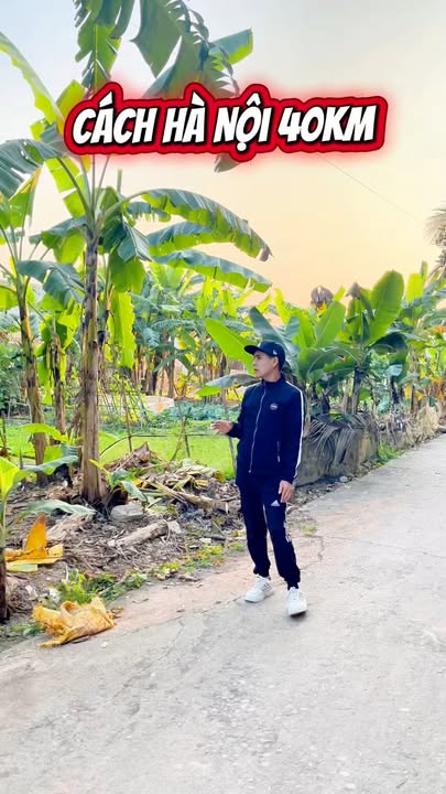 Đất đấu giá 92m² tại Thượng Quất, Huyện Mỹ Đức - Giá chỉ 1 tỷ VND