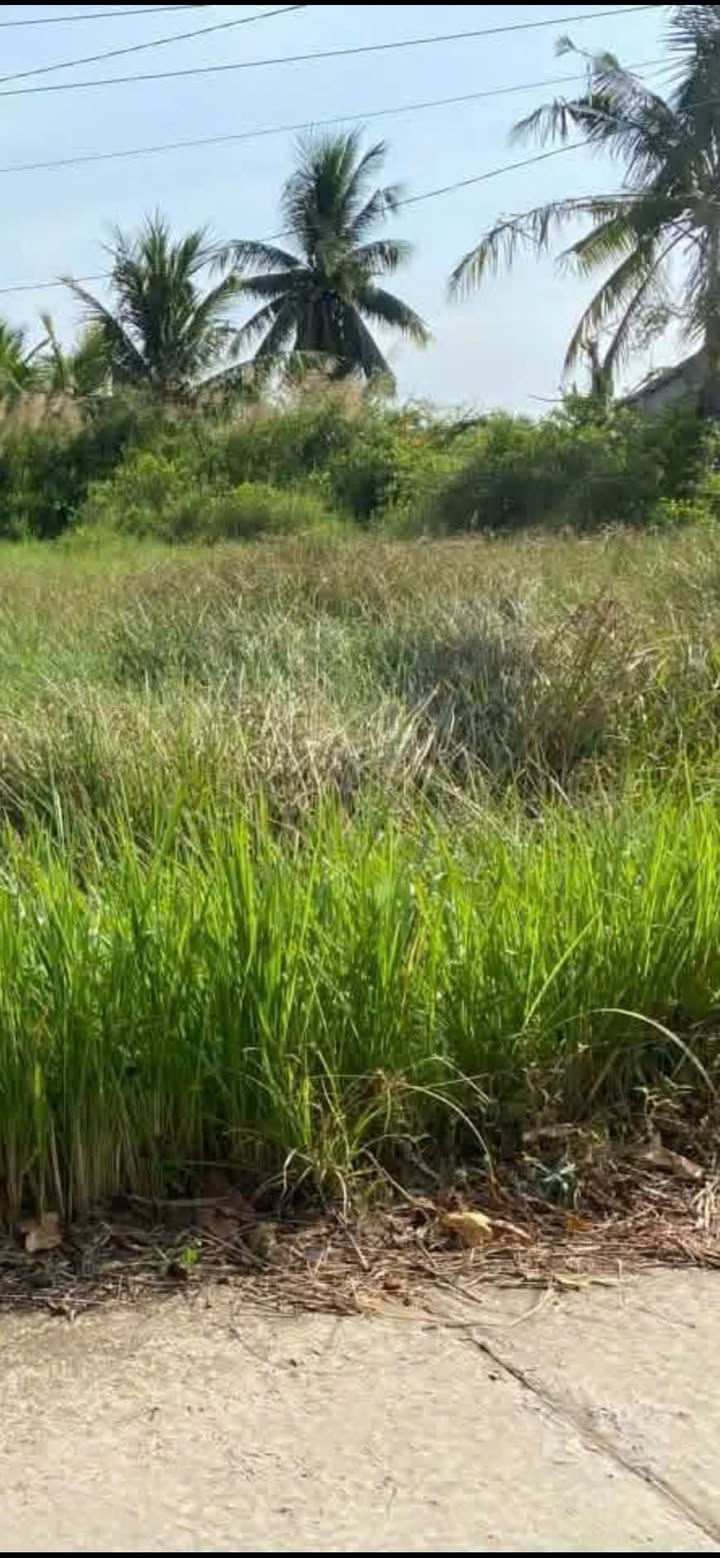 Đất mặt tiền lộ Đal Khóm Vĩnh Châu 6750m² giá 7.5 tỷ - Cơ hội đầu tư lý tưởng