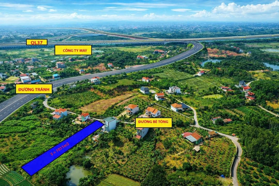 Đất nền trục chính thị trấn Đồi Ngô 1000m² giá thỏa thuận - Cơ hội đầu tư hiếm có!
