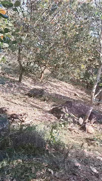 Đất nền 720m² tại Thôn 10, Xã Tâm Thắng, Giá Thỏa Thuận - Cơ hội đầu tư hấp dẫn!