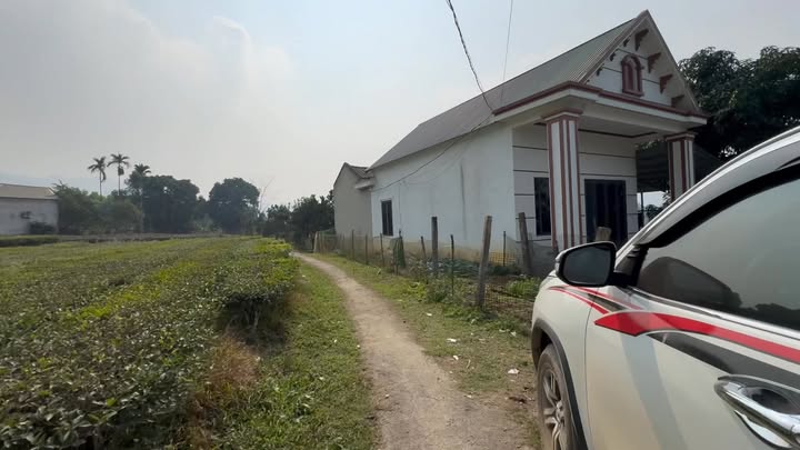 Đất CLN 1.800m² tại Phúc Khánh, Yên Lập chỉ 3xx triệu - Mặt tiền đẹp, trồng chè cực chill!