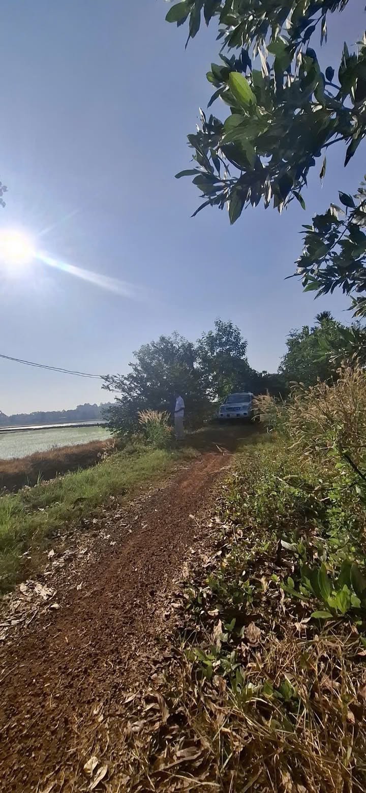 Đất nền 7200m² tại Ấp Thanh An, An Bình, Châu Thành giá 200 triệu - Bán gấp trong tuần!