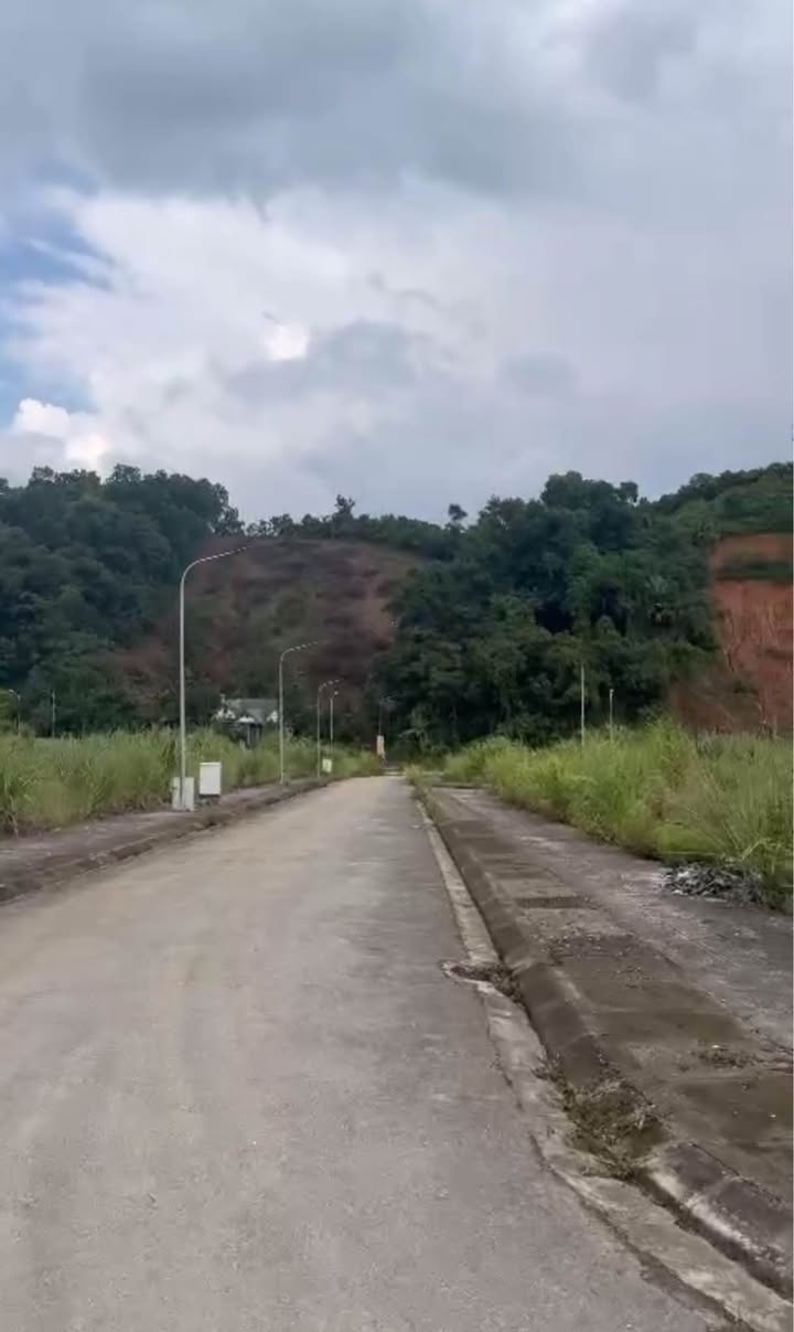 Đất nền TDC Trực Thanh 310m² chỉ 3 tỷ - Vị trí đắc địa, thuận tiện di chuyển!