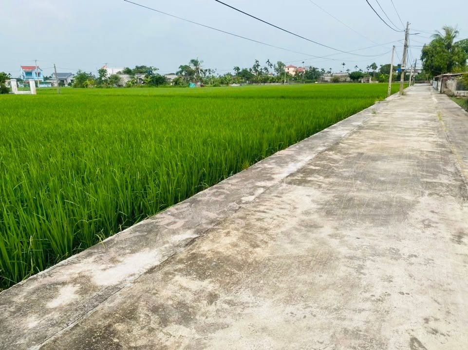 Đất nền liền kề tại Bình Định, Kiến Xương 200m² giá 8xx triệu - Đầu tư sinh lời ngay!