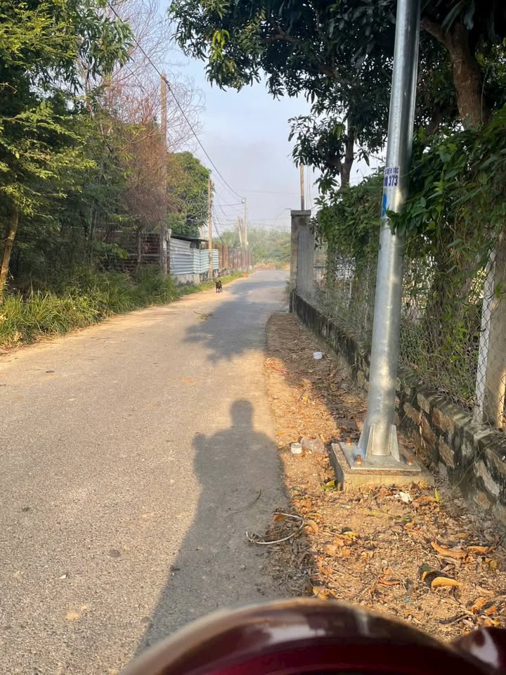 Đất nền 100m² tại Tam Phước, Biên Hòa giá 1.1 tỷ - Cần bán gấp!