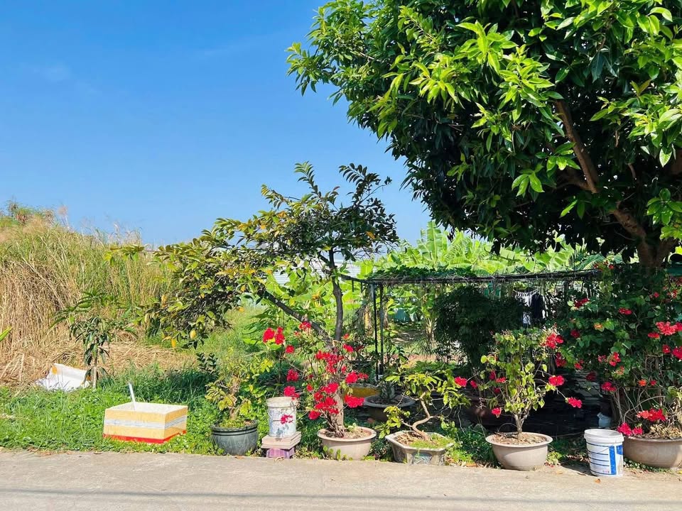 Bán lô đất 130m² hẻm 130 Đô Lương, P11, quận Phú Nhuận - Dân trí cao, giá 1.2 tỷ!