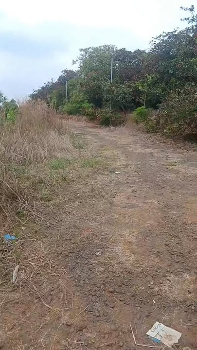 Đất nền Xã Sông Ray 11.623m² giá 35 tỷ - Đường ô tô vào tận nơi!