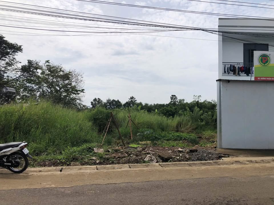 Đất thổ cư 128,5m² mặt tiền đường nhựa xã Sông Thao - Giá chỉ 800 triệu