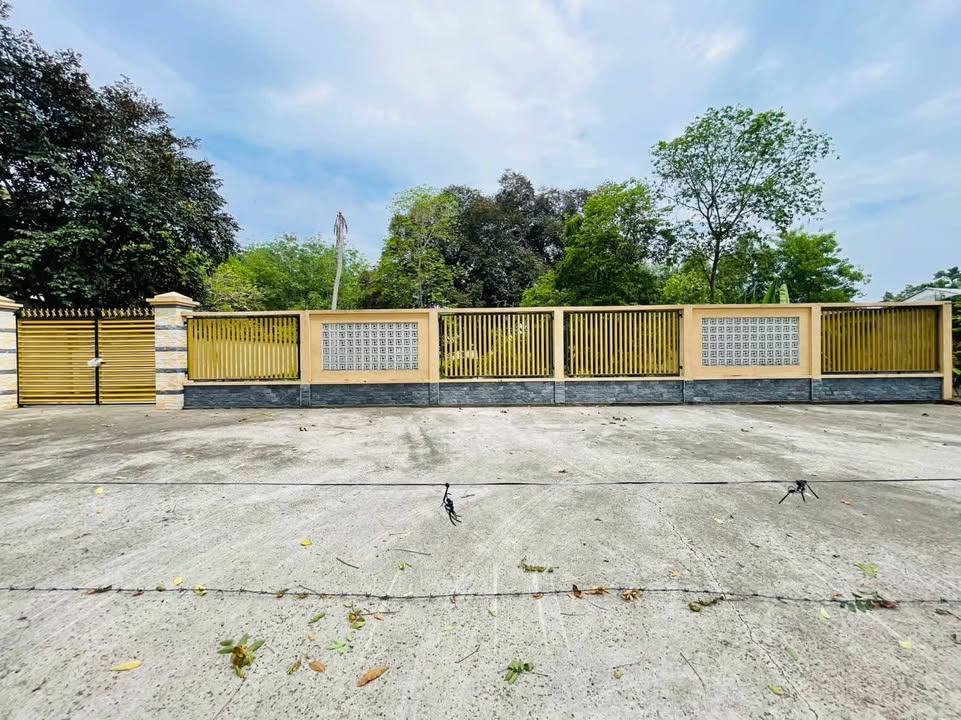 Đất mặt tiền Phạm Văn Cội, 2055m², giá 11.3 tỷ - Xây biệt thự ngay!