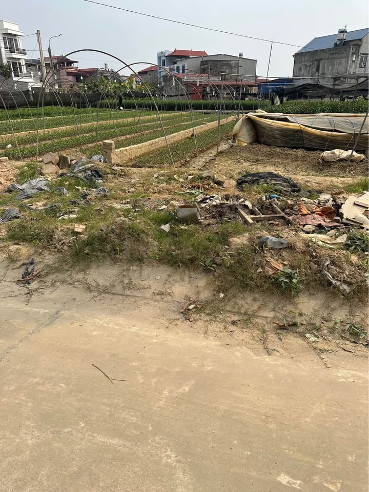 Đất thổ cư 125m² Khu dân cư số 8 Túc Duyên - Giá 4 tỷ, chính chủ bán gấp!