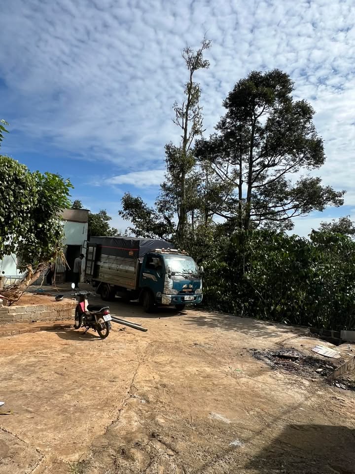 Nhà nguyên căn Chi Lăng Bảo Lộc 100m² - Sân rộng đậu xe hơi thoải mái!