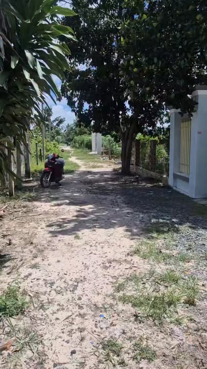 Đất thổ cư 477m² tại Thanh Thuận, Châu Thành, Tây Ninh - Giá tốt, thương lượng!