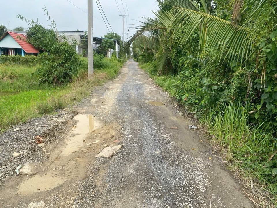 Đất nền 10000m² tại Lương Hòa, Bến Lức - Đầu tư sinh lời ngay!