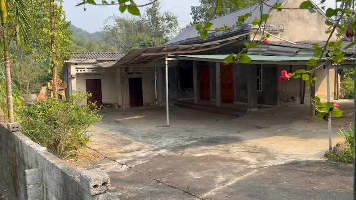 Đất nghỉ dưỡng Thượng Long, Yên Lập 1.300m² chỉ 1 tỷ - Sẵn nhà cấp 4 kiên cố!