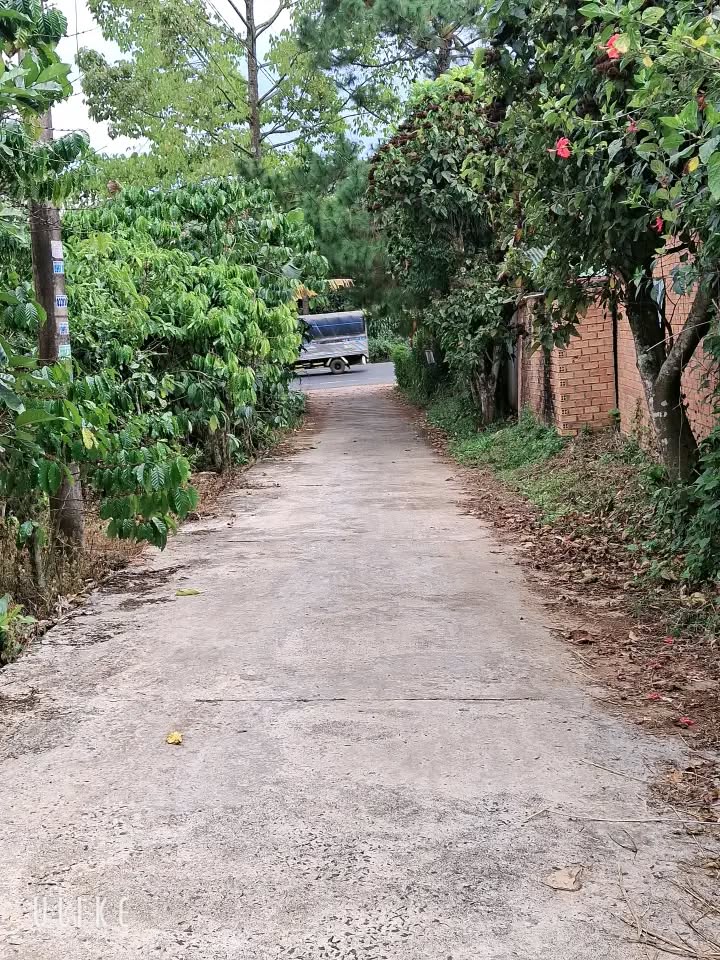 Đất thổ cư 130m² tại Lộc Nga, Bảo Lộc - Giá chỉ 1.05 tỷ, thương lượng!