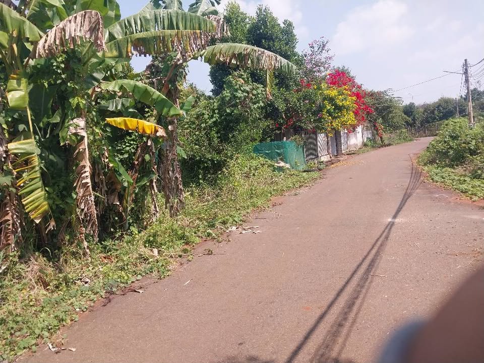 Đất góc 2 mặt tiền Đường 78, Xã Phước Long Thọ, 723m² giá 3.39 tỷ - Cơ hội đầu tư hấp dẫn!