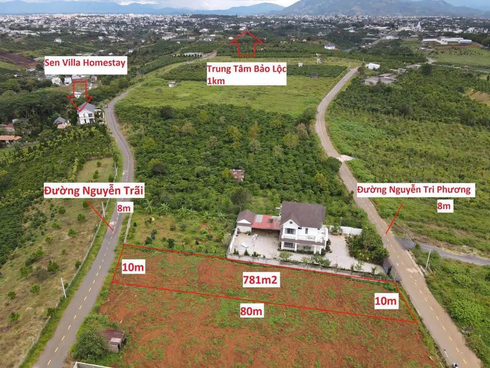 Đất mặt tiền Nguyễn Trãi & Nguyễn Tri Phương, Bảo Lộc 780m² giá 3.2 tỷ - View đẹp, đầu tư sinh lời!