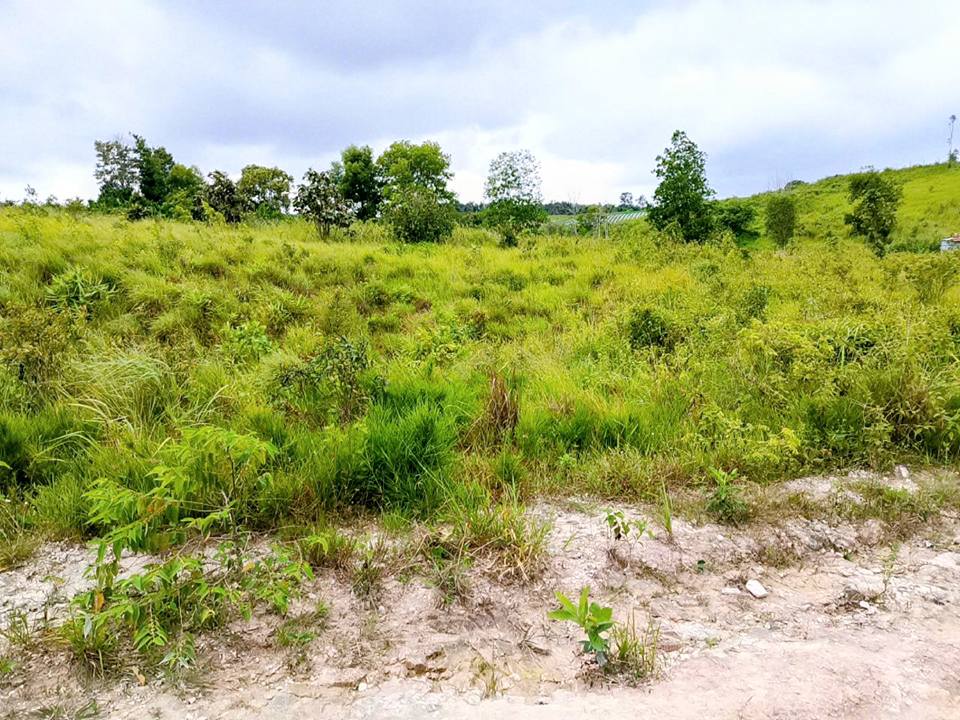 Đất thổ cư 2 hecta xã Ninh Gia - Đầu tư sinh lời chỉ 8.7 tỷ!