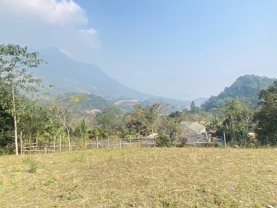 Đất Farm 2000m² tại Tiểu khu Hương Lý, Đà Bắc - Giá chỉ 1.5 tỷ!