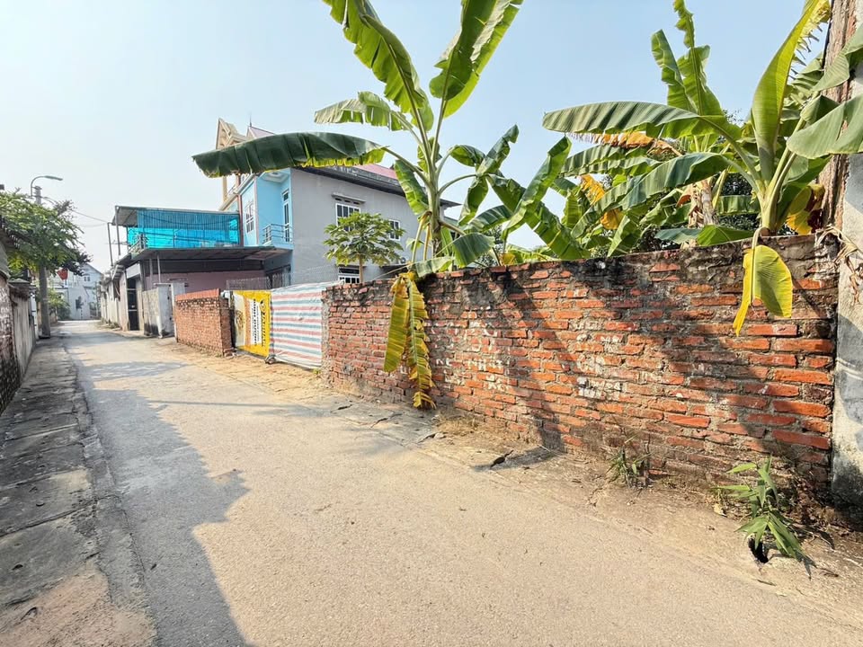 Lô đất thổ cư 100m² tại Lai Sơn, Vĩnh Yên - Giá chỉ 1,6 tỷ - Cơ hội đầu tư hấp dẫn!