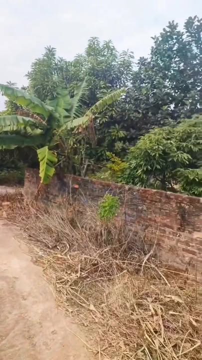 Đất liền kề Đông Hưng Lục Nam 165m² giá 600 triệu - Sổ đỏ sang tên ngay!