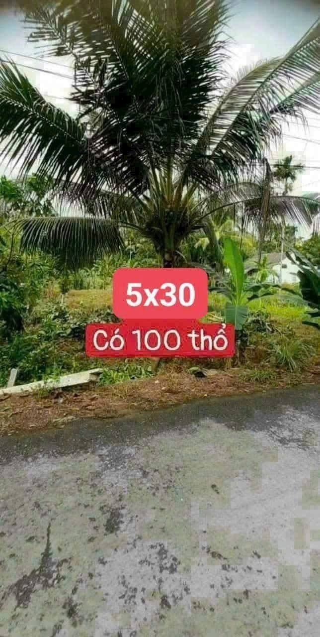 Đất nền 145m² tại xã Loan Mỹ, huyện Tam Bình - Giá chỉ 360 triệu, thương lượng ngay!