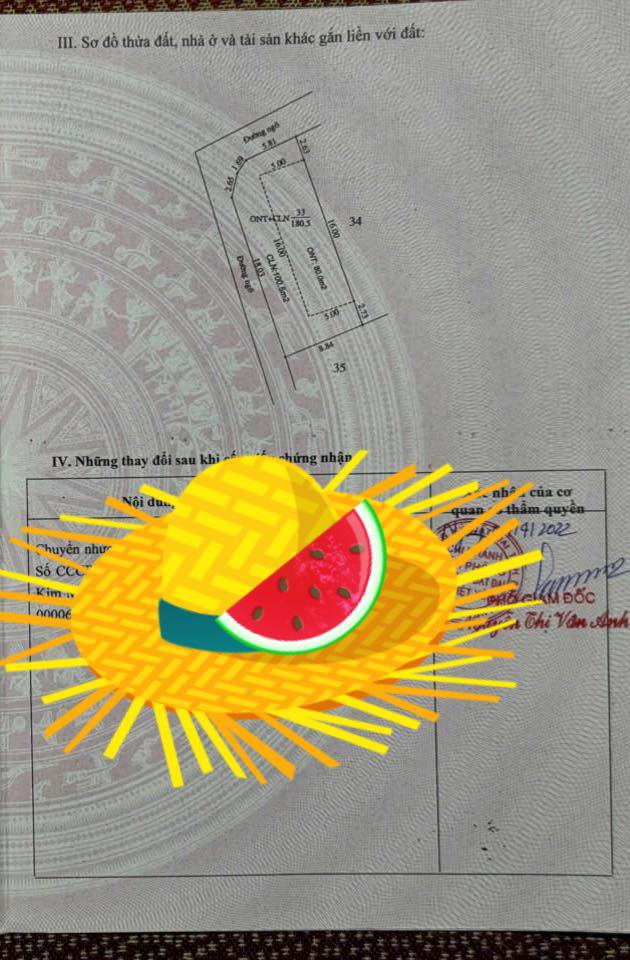 Đất dự án liền kề tại phường Vân Hà 300m² giá 3 tỷ - Đầu tư sinh lời ngay!