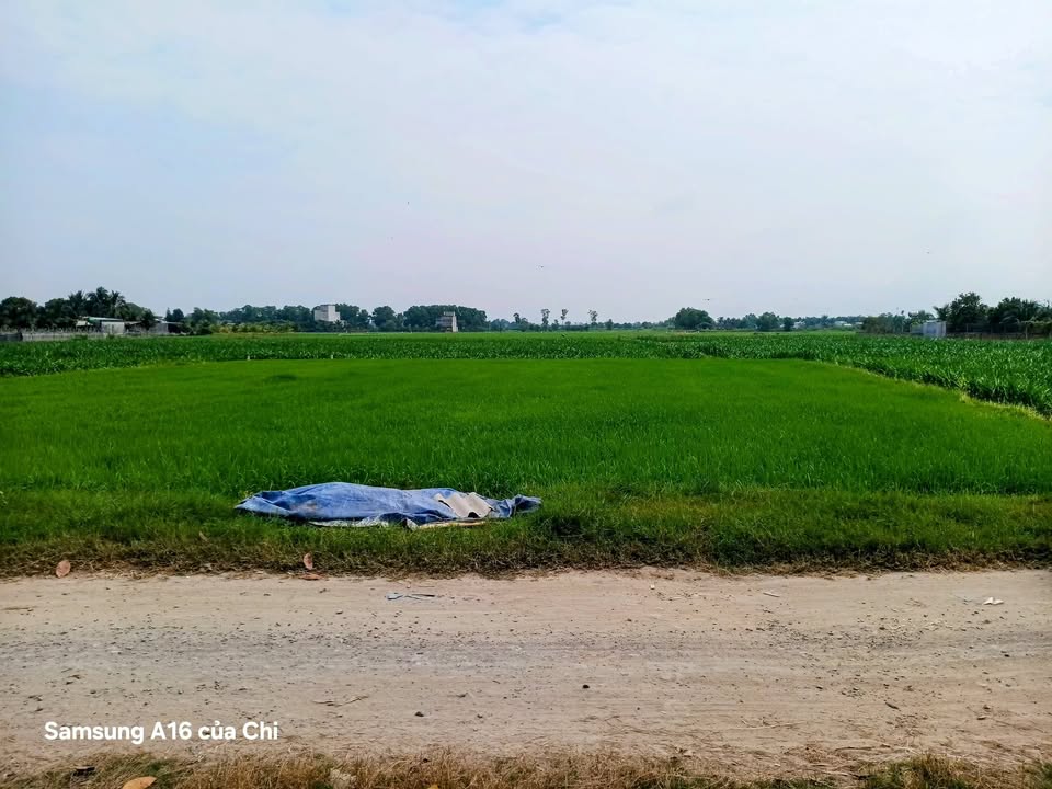 Đất nền 1054m² Tỉnh Lộ 9 - Vị trí đẹp, giá cực tốt chỉ 4 tỷ!