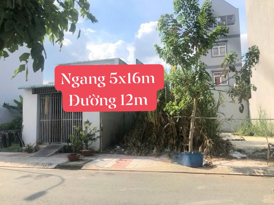 Đất phân lô Quận 8 80m² giá 4.6 tỷ - Sổ hồng riêng hiếm có!