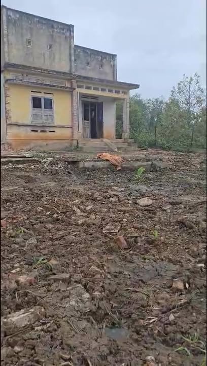 Đất thổ cư 847m² tại xã Phú Xuân, huyện Krông Năng - Giá chỉ 5.6 tỷ!