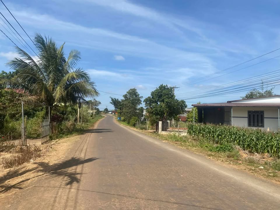 Đất mặt tiền xã Phú Xuân, huyện Krông Năng 525m² giá 105 tỷ - Đầu tư sinh lời ngay!