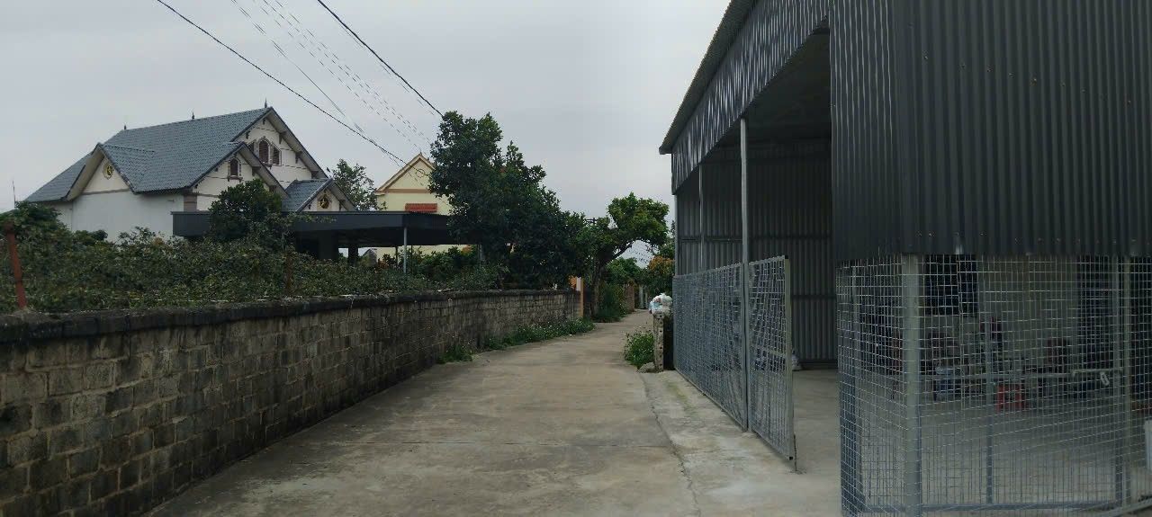 Bán đất Quý Sơn Bắc Giang 1000m² giá chỉ 700 triệu - Đầu tư sinh lời ngay!