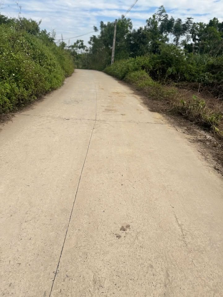 Đất Nhuận Trạch, Lương Sơn, Hòa Bình 7000m² giá 8 tỷ - Đường rộng xe container vào tận nơi!