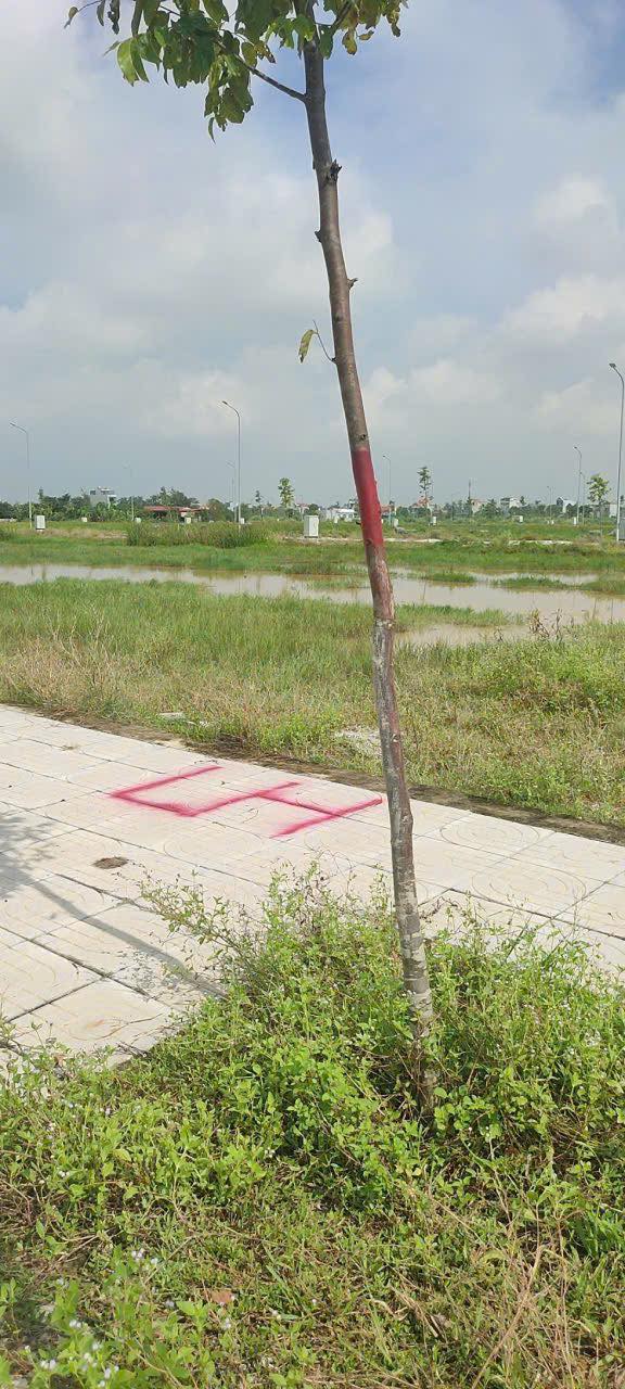 Đất nền MB3220 Đông Thịnh 100m² giá 1.38 tỷ - Đầu tư sinh lời cao!