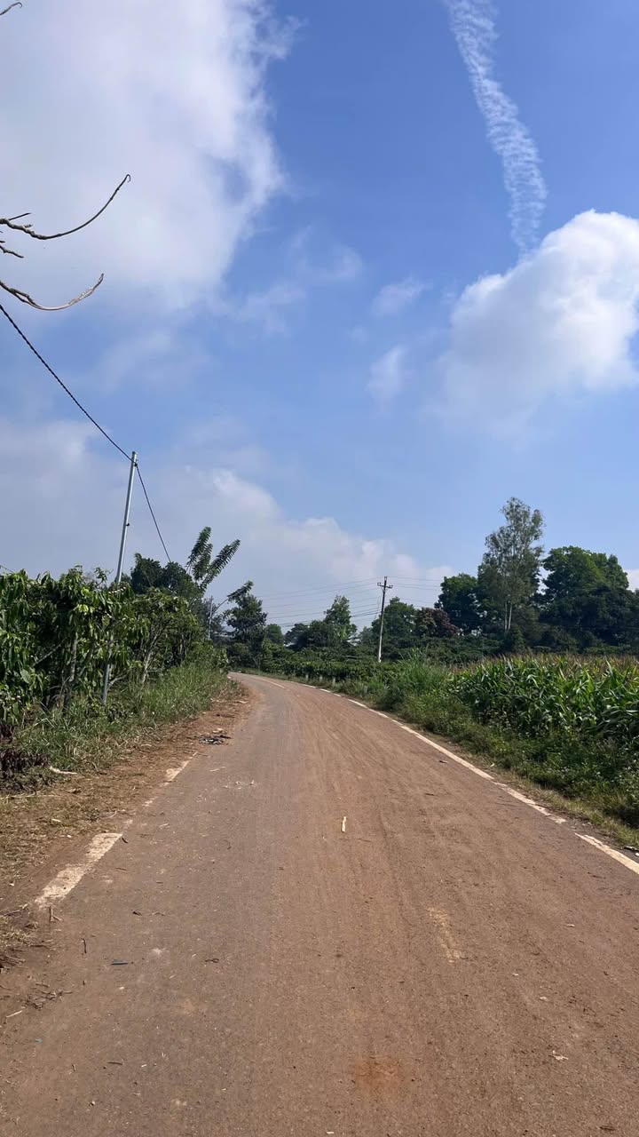 Đất Nền N'Thol Hạ, Huyện Đức Trọng 2300m² - Giá Ngộp Chỉ 1.65 Tỷ!