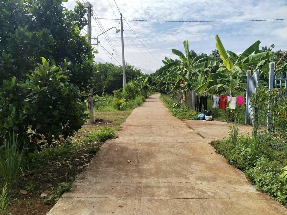 Đất nền Bầu Trâm, Long Khánh 1000m² giá 1.3 tỷ - Mặt tiền 10m xe hơi vào tận nơi!