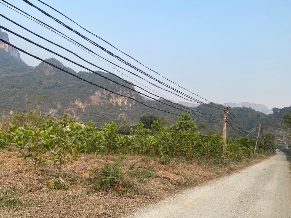 Đất nông trường Sông Bôi, Phú Nghĩa 3700m² - Thế đất cao thoáng, tiềm năng đầu tư lớn!