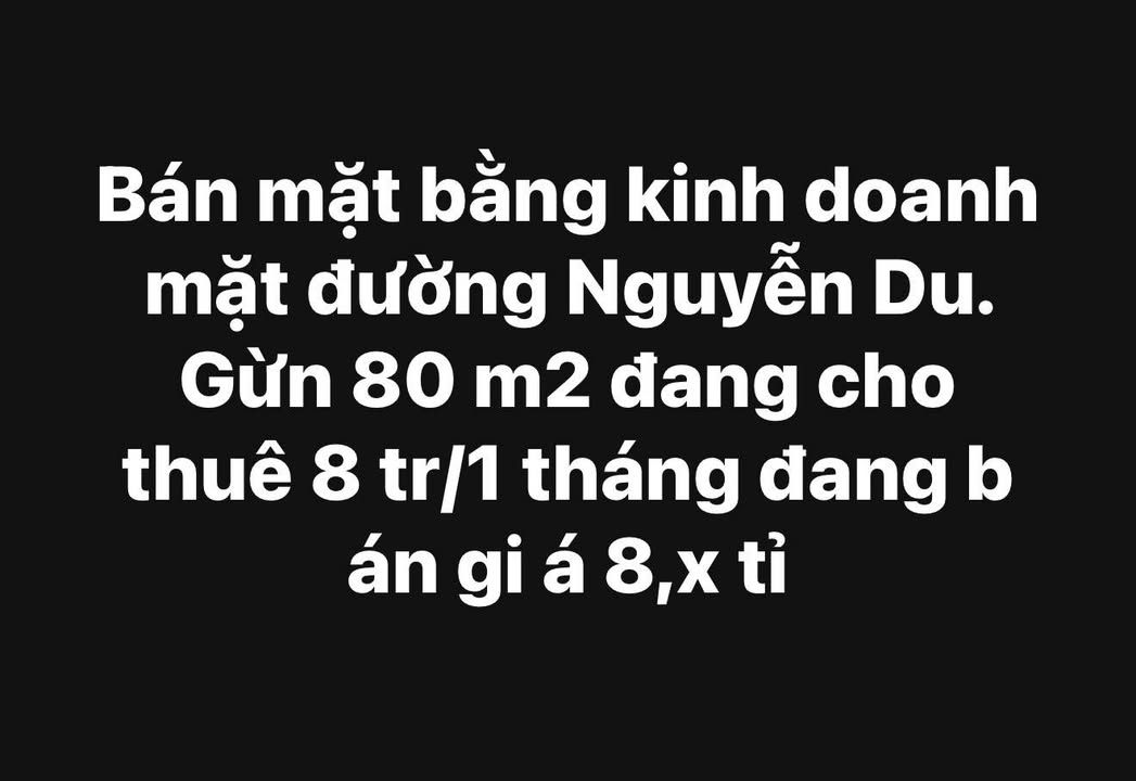 Mặt bằng kinh doanh Nguyễn Du 80m² giá 8.5 tỷ - Đầu tư sinh lời ngay!