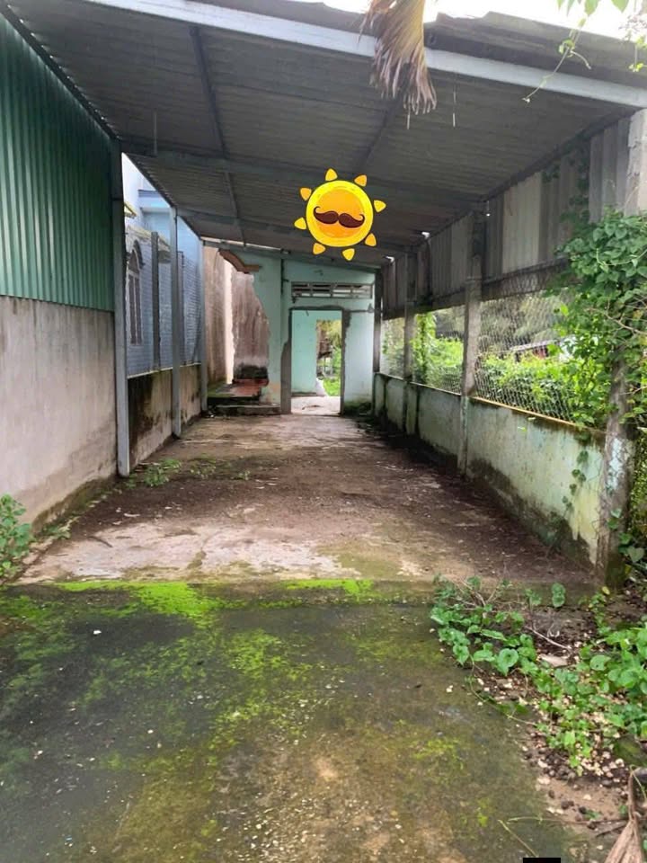 Đất ở đô thị Phường 5 Tân An 147m² giá 1.35 tỷ - Sổ hồng chính chủ