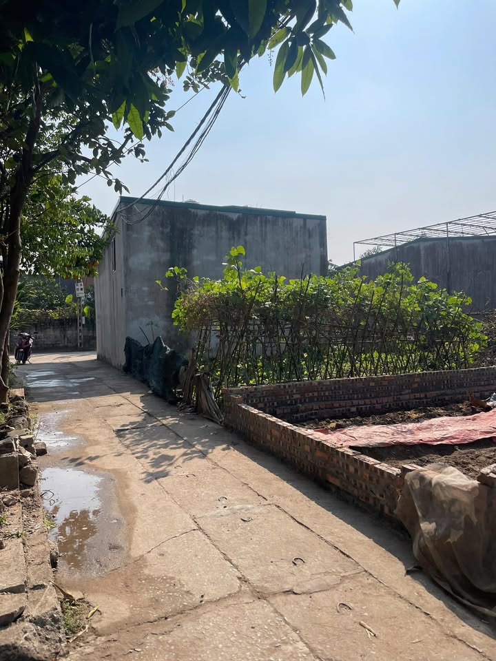 Đất đấu giá Thôn 3 Vạn Phúc 59m² giá 4.x tỷ - Cơ hội đầu tư hiếm có!