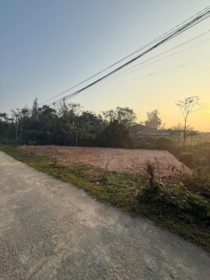 Đất Triều Đông - Bùi La Nhân, 200m² giá chỉ 500 triệu - Đầu tư sinh lời!