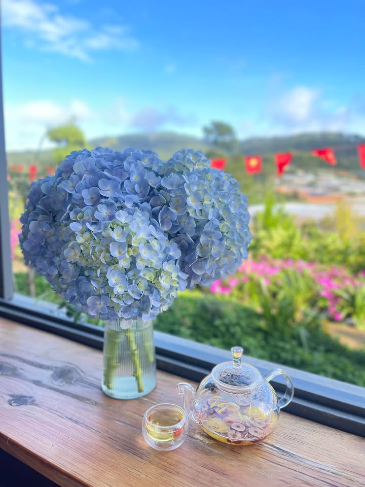 Đất nền block 9 tại xã Tân Định, Ninh Hoà 500m² giá 99 triệu - Cơ hội đầu tư hấp dẫn!