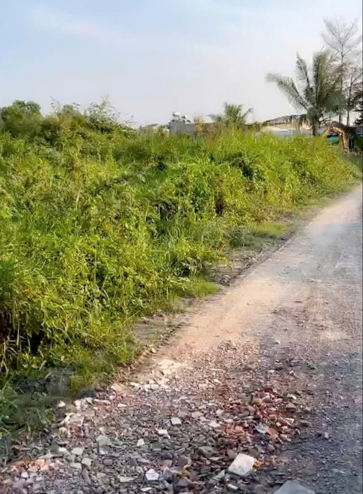 Đất thổ cư 4.050m² xã Bình Mỹ, Củ Chi giá 34,5 tỷ - Đầu tư sinh lời ngay!