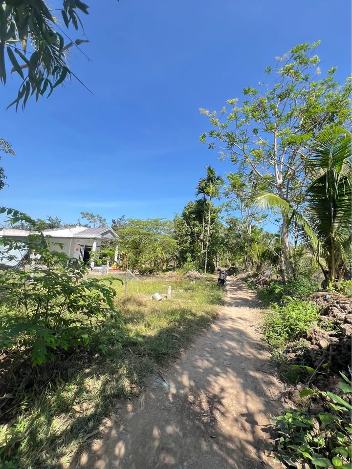 Đất nền 1000m² tại Chợ Ngã Sáu, Cần Thơ - Vị trí tiềm năng chỉ 850 triệu!