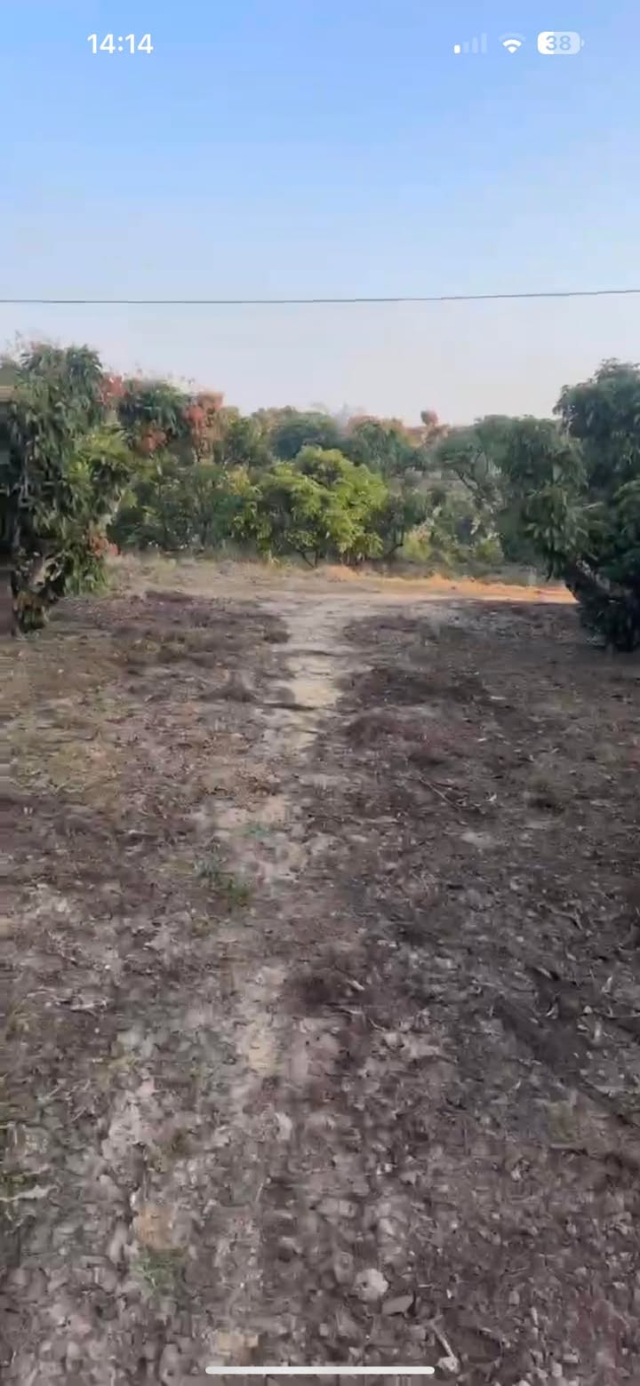 Đất vườn 1000m² tại Xã Giáp Sơn, Huyện Lục Ngạn - Giá chỉ 2xx triệu!