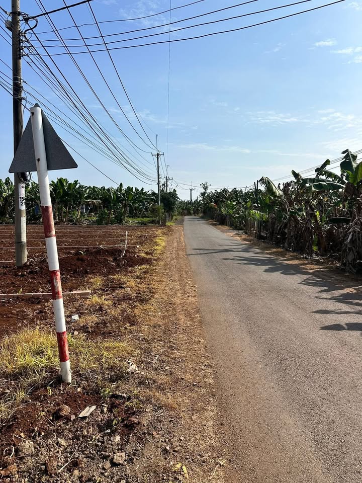 Đất mặt tiền đường 19/5, xã Bàu Hàm, 100m² giá 600 triệu - Đầu tư sinh lời ngay!