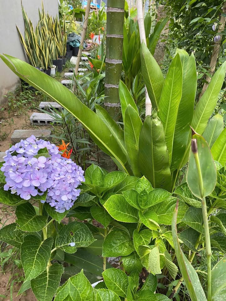 Nhà cho thuê tại Phú Hài, Phan Thiết 500m² chỉ 2 triệu/tháng - Nội thất đầy đủ, sẵn sàng vào ở!