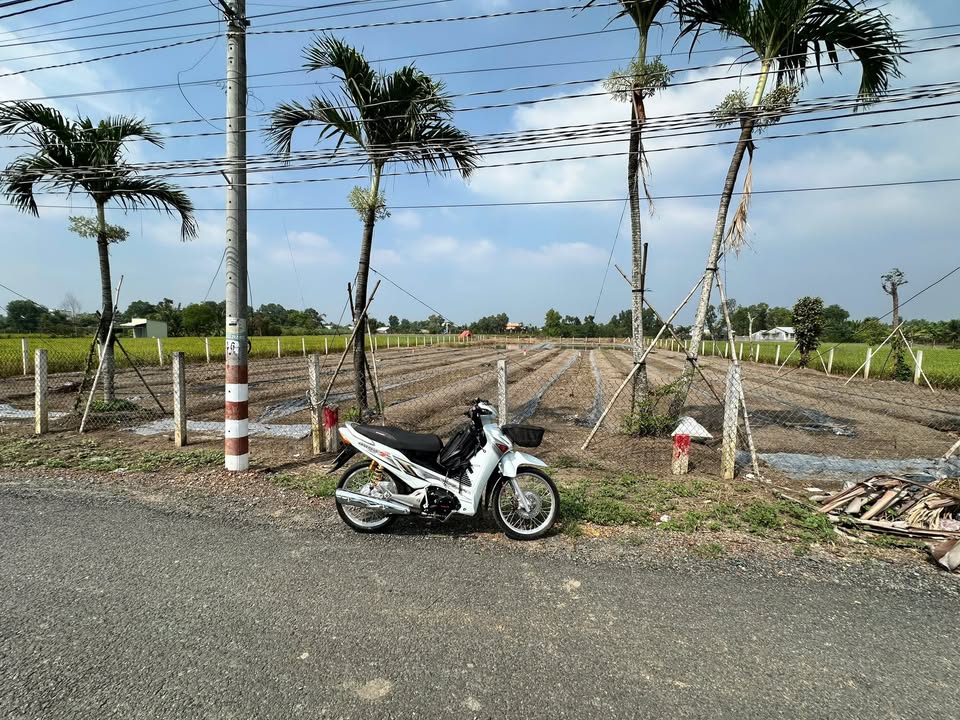 Đất thổ cư 300m² tại xã Mỹ Lộc, Huyện Cần Giuộc - Giá 6 tỷ, vị trí đẹp