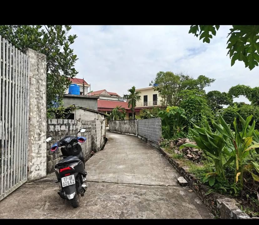 Đất nền Minh Khai Vũ Thư 144m² giá thỏa thuận - Cơ hội đầu tư hấp dẫn!